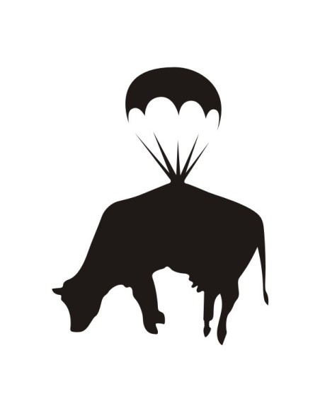 Vinilo Banksy Golden Parachute
